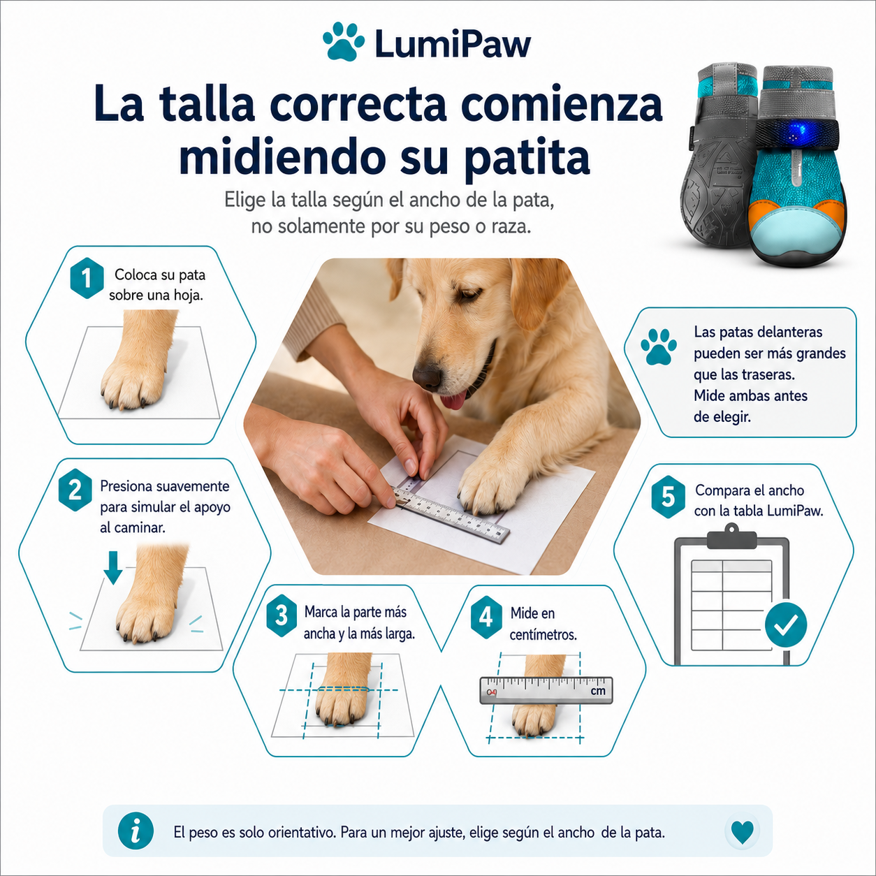 Zapatos LumiPaw™ con Luz LED para Perros