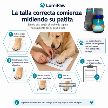 Zapatos LumiPaw™ con Luz LED para Perros